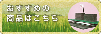 おすすめの商品はこちら